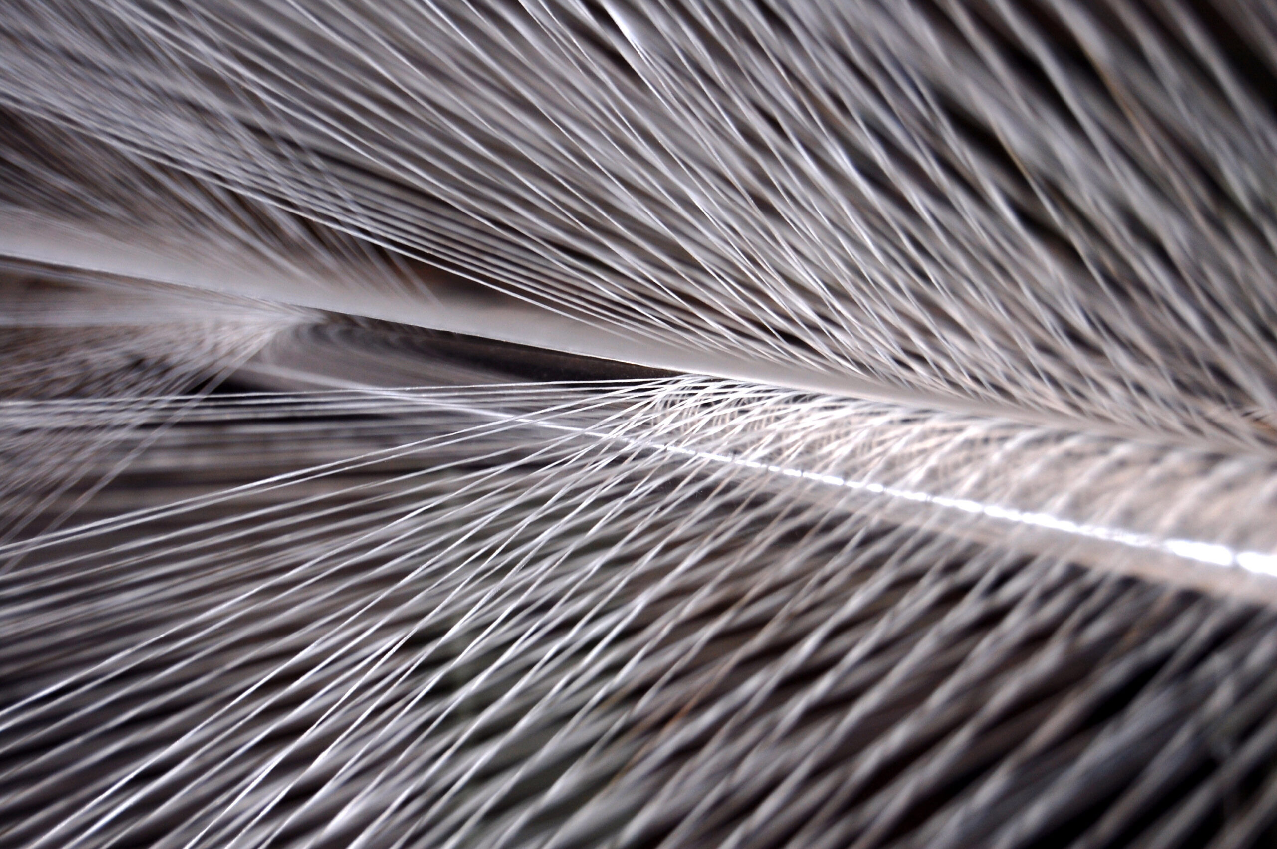 Le GEMTEX rend nos vêtements plus durables et plus intelligents Plug